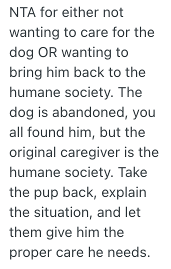 Screenshot 2025 07 08 at 8.23.35 AM His Roommates Took In A Stray Puppy, But He Refuses To Help Out With It